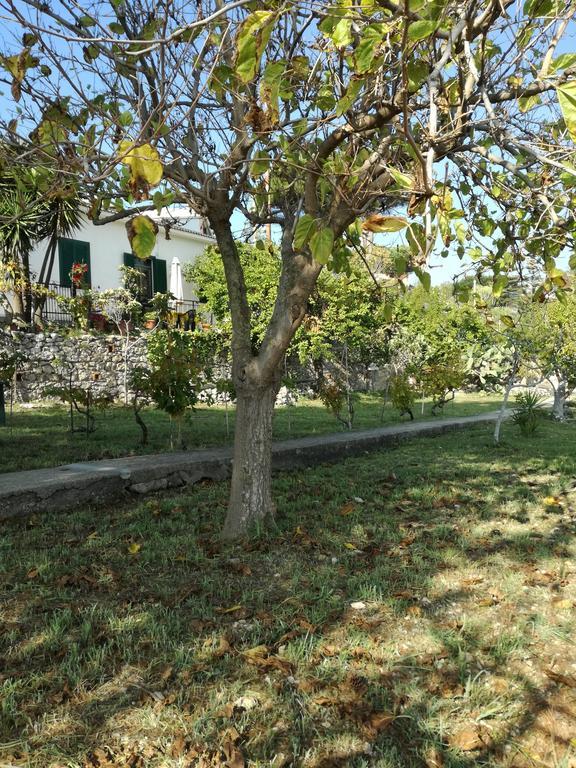 גאטה Villa Ninetta-Isabella מראה חיצוני תמונה